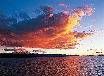 FIFA主席确认：一款新的《FIFA》游戏正在开发中