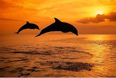 欧洲11月游戏销售数据公布 《战神 诸神黄昏》表现抢眼